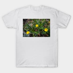 Colorado Flower T-Shirt